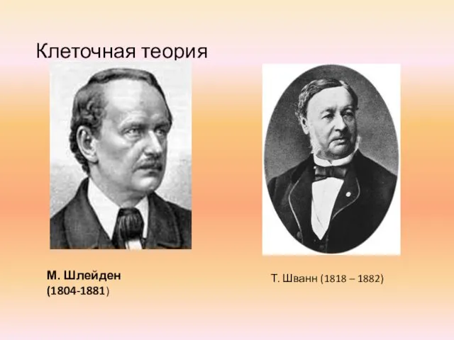Клеточная теория М. Шлейден (1804-1881) Т. Шванн (1818 – 1882)
