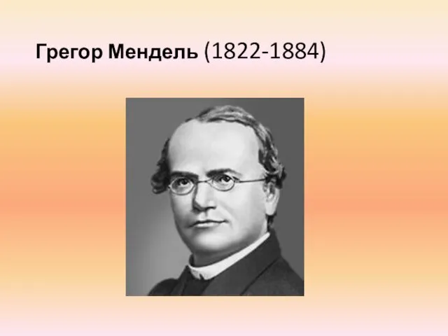 Грегор Мендель (1822-1884)