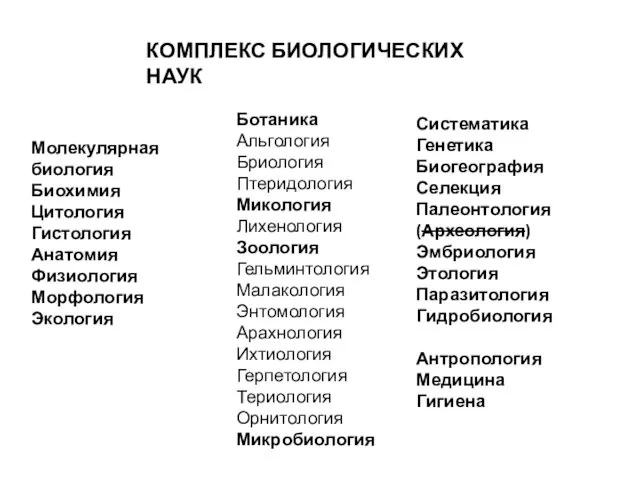 КОМПЛЕКС БИОЛОГИЧЕСКИХ НАУК Молекулярная биология Биохимия Цитология Гистология Анатомия Физиология Морфология Экология Ботаника