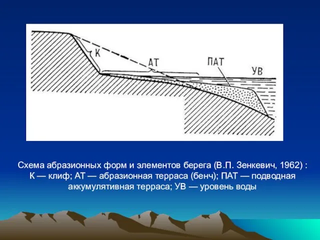 Схема абразионных форм и элементов берега (В.П. Зенкевич, 1962) :