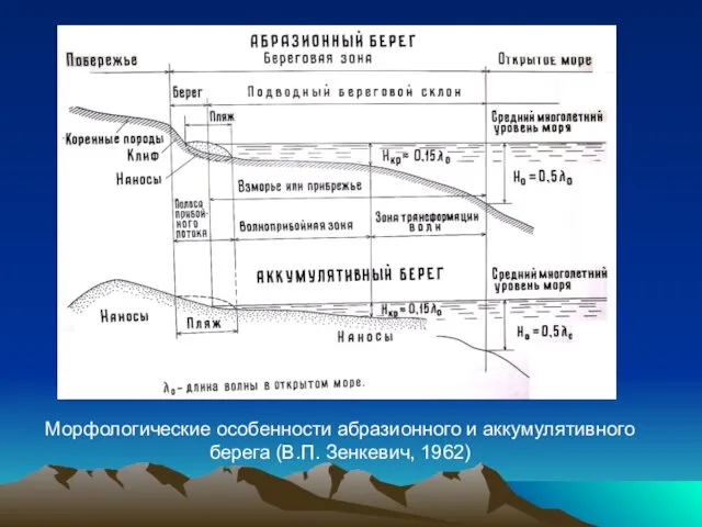 Морфологические особенности абразионного и аккумулятивного берега (В.П. Зенкевич, 1962)