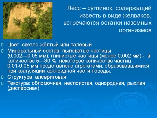 Лёсс – суглинок, содержащий известь в виде желваков, встречаются остатки