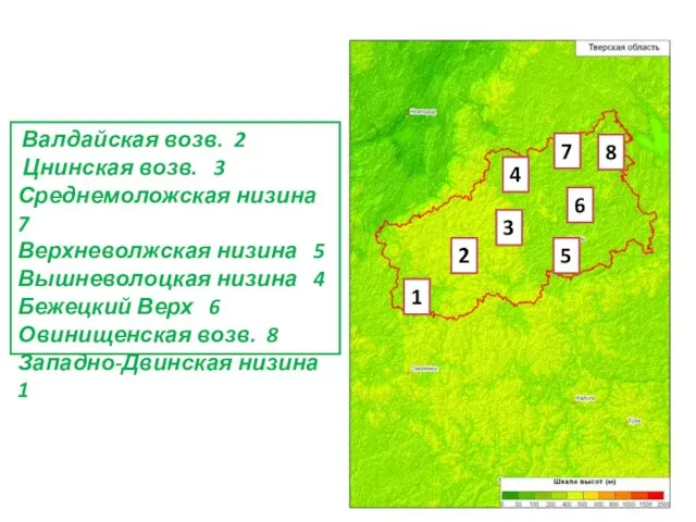 Валдайская возв. 2 Цнинская возв. 3 Среднемоложская низина 7 Верхневолжская