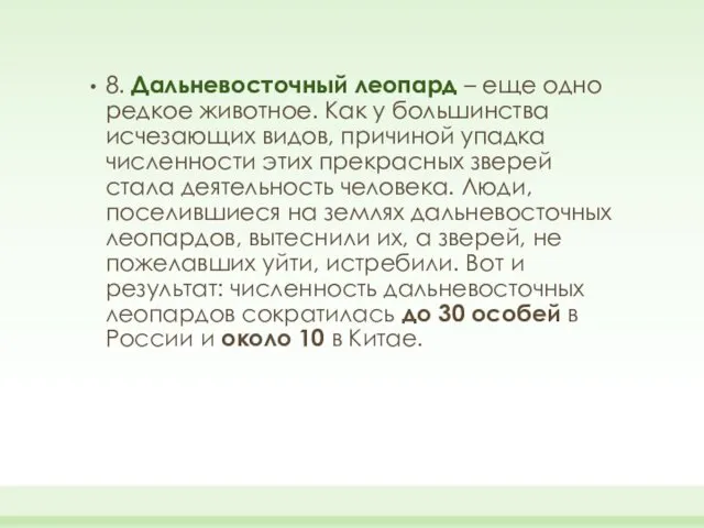 8. Дальневосточный леопард – еще одно редкое животное. Как у