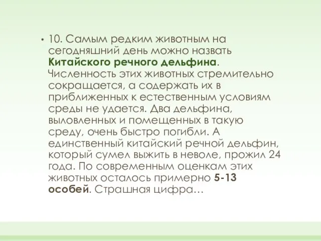 10. Самым редким животным на сегодняшний день можно назвать Китайского