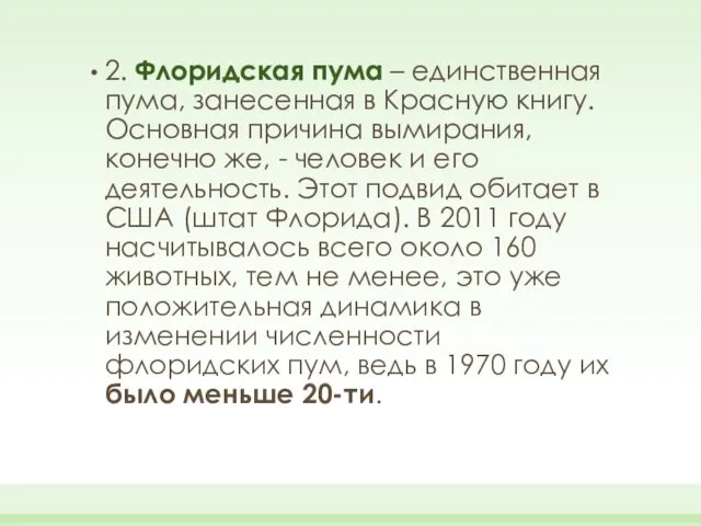 2. Флоридская пума – единственная пума, занесенная в Красную книгу.