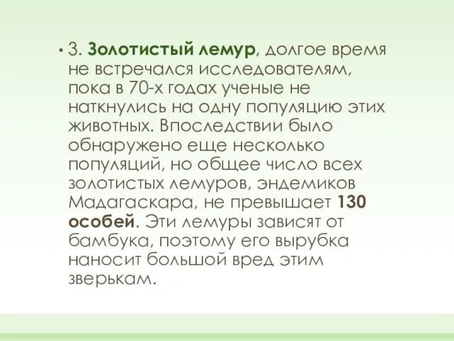 3. Золотистый лемур, долгое время не встречался исследователям, пока в