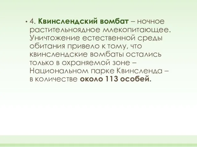 4. Квинслендский вомбат – ночное растительноядное млекопитающее. Уничтожение естественной среды