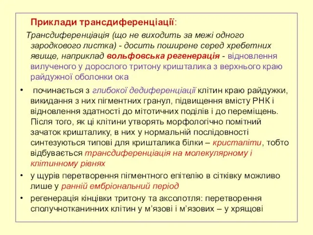 Приклади трансдиференціації: Трансдиференціація (що не виходить за межі одного зародкового