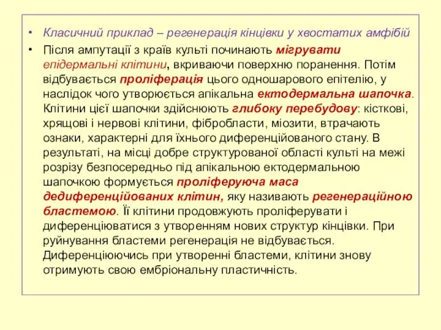 Класичний приклад – регенерація кінцівки у хвостатих амфібій Після ампутації