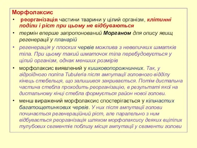 Морфолаксис реорганізація частини тварини у цілий організм, клітинні поділи і