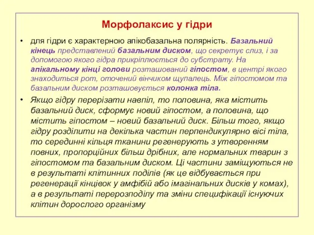 Морфолаксис у гідри для гідри є характерною апікобазальна полярність. Базальний