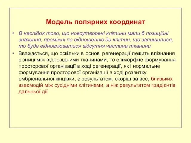 Модель полярних координат В наслідок того, що новоутворені клітини мали