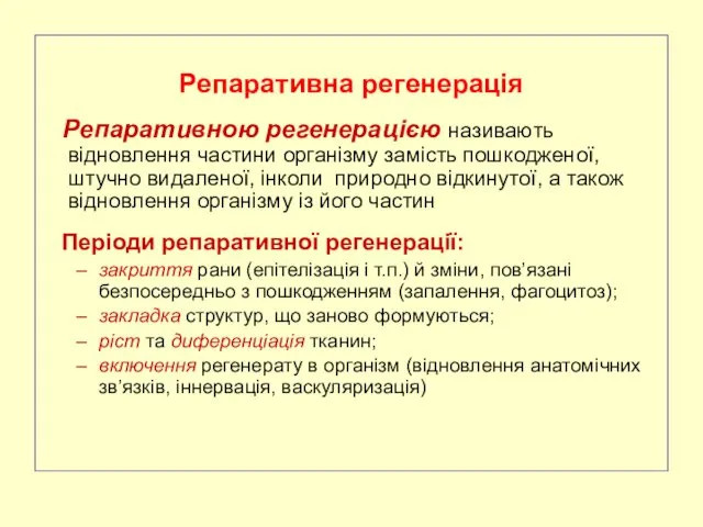 Репаративна регенерація Репаративною регенерацією називають відновлення частини організму замість пошкодженої,