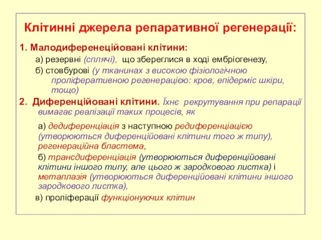 Клітинні джерела репаративної регенерації: 1. Малодиференеційовані клітини: а) резервні (сплячі),