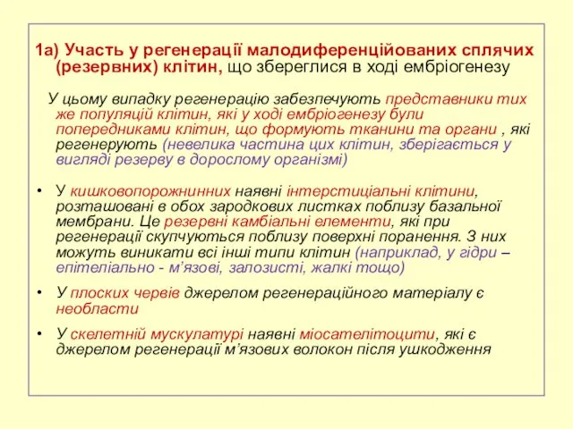 1а) Участь у регенерації малодиференційованих сплячих (резервних) клітин, що збереглися