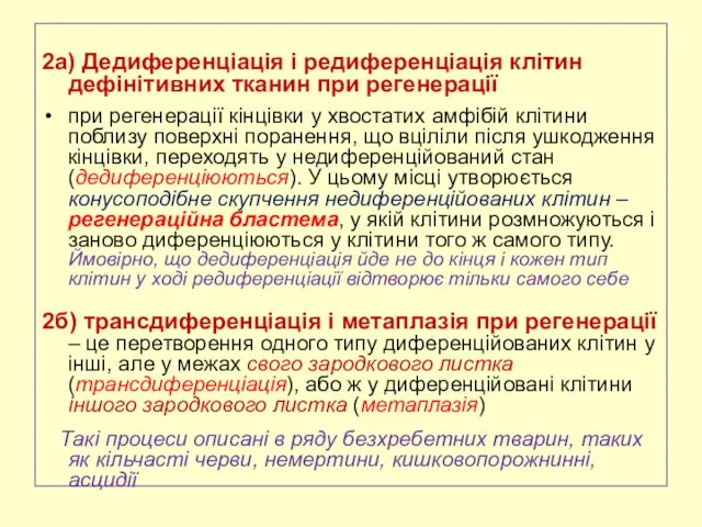 2а) Дедиференціація і редиференціація клітин дефінітивних тканин при регенерації при