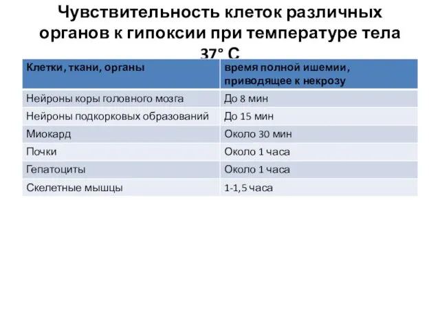 Чувствительность клеток различных органов к гипоксии при температуре тела 37° С