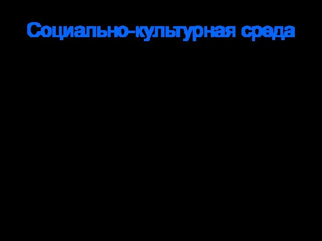 Социально-культурная среда Экономические Демографические Образовательные Этические Этнические Религиозные и другие характеристики общества и его членов