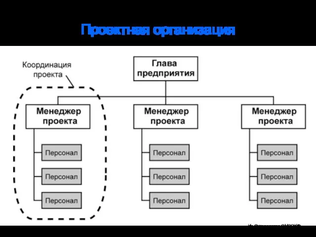 Проектная организация Из Руководства PMBOK®