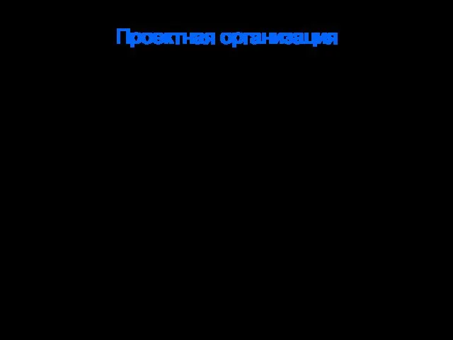 Проектная организация В проектной организации члены команд собраны в одном