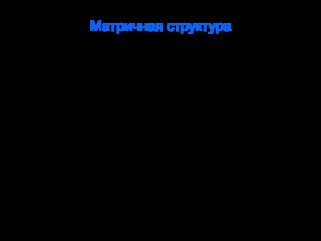 Матричная структура Слабые матрицы сохраняют многие характеристики функциональной организации, и