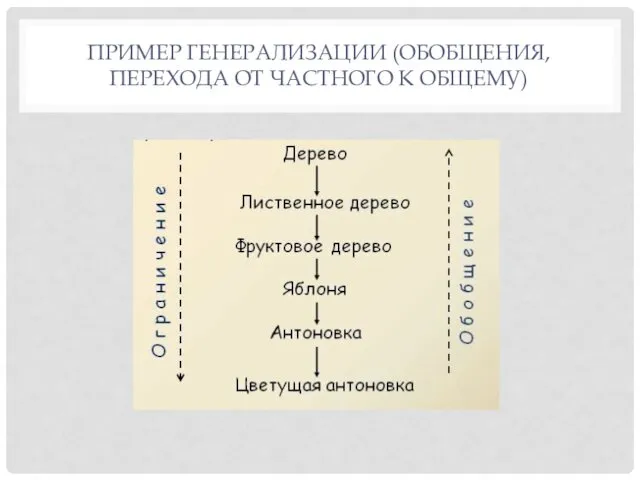 ПРИМЕР ГЕНЕРАЛИЗАЦИИ (ОБОБЩЕНИЯ, ПЕРЕХОДА ОТ ЧАСТНОГО К ОБЩЕМУ)