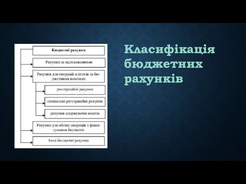 Класифікація бюджетних рахунків