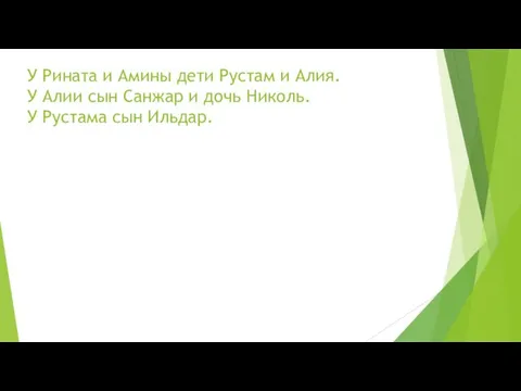 У Рината и Амины дети Рустам и Алия. У Алии