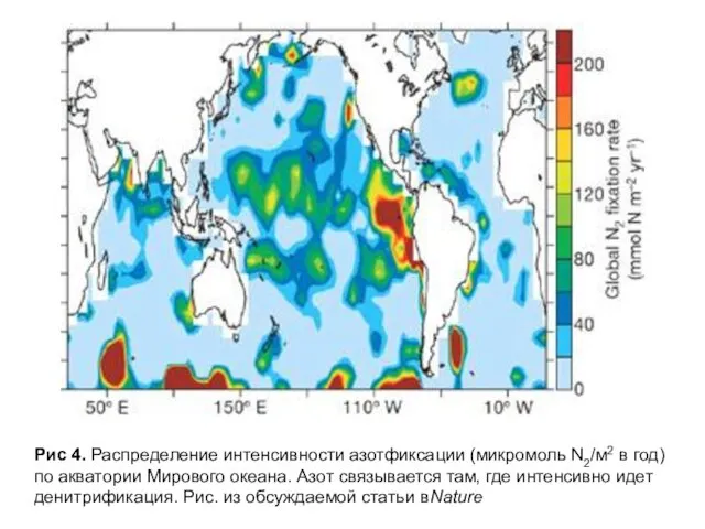 Рис 4. Распределение интенсивности азотфиксации (микромоль N2/м2 в год) по