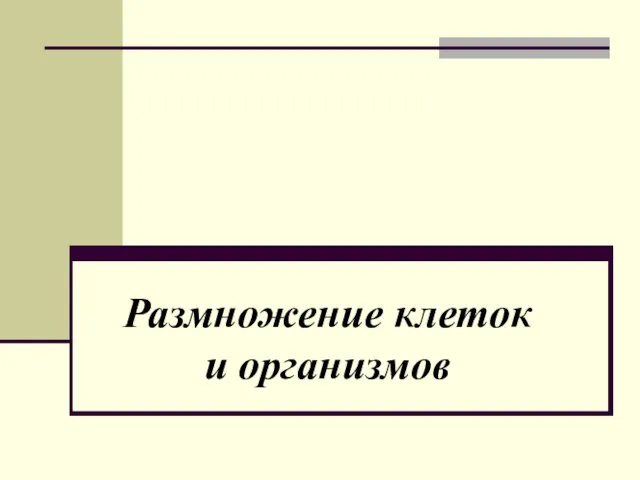 Размножение клеток и организмов