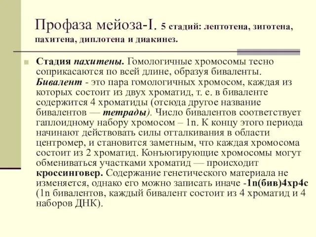 Профаза мейоза-I. 5 стадий: лептотена, зиготена, пахитена, диплотена и диакинез.