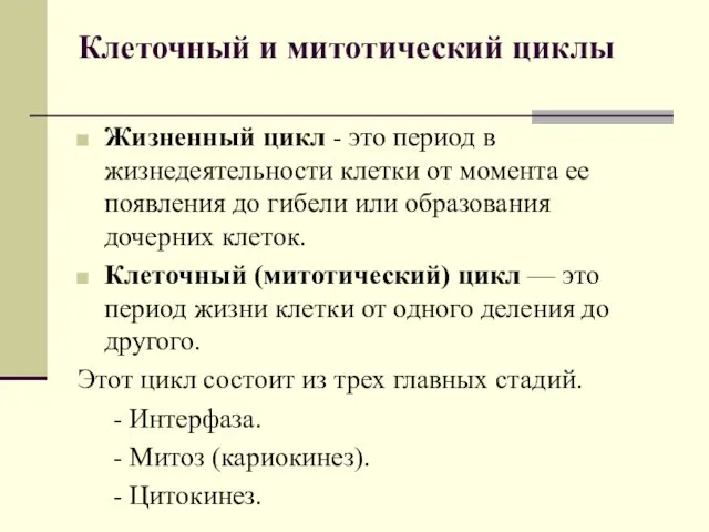 Клеточный и митотический циклы Жизненный цикл - это период в