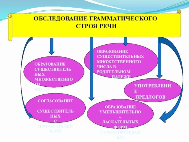 ОБСЛЕДОВАНИЕ ГРАММАТИЧЕСКОГО СТРОЯ РЕЧИ ОБРАЗОВАНИЕ СУЩЕСТВИТЕЛЬНЫХ МНОЖЕСТВЕННОГО ЧИСЛА ОБРАЗОВАНИЕ СУЩЕСТВИТЕЛЬНЫХ