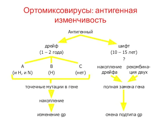 Ортомиксовирусы: антигенная изменчивость