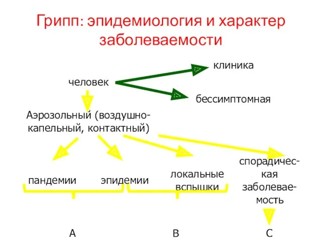 Грипп: эпидемиология и характер заболеваемости