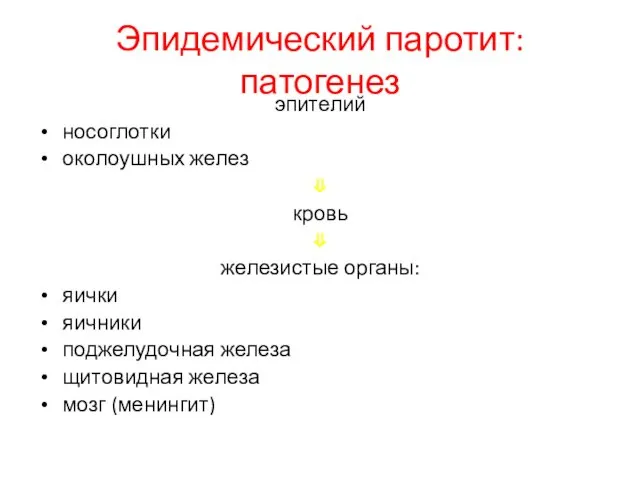 Эпидемический паротит: патогенез эпителий носоглотки околоушных желез ⇓ кровь ⇓