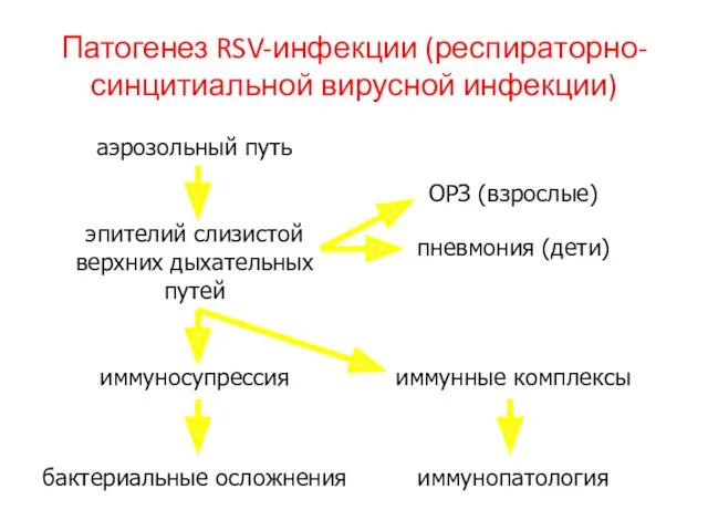 Патогенез RSV-инфекции (респираторно-синцитиальной вирусной инфекции)