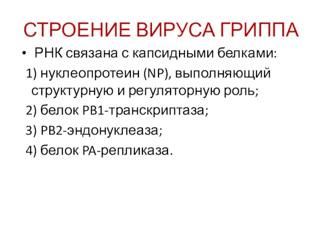 СТРОЕНИЕ ВИРУСА ГРИППА РНК связана с капсидными белками: 1) нуклеопротеин