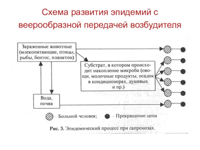 Схема развития эпидемий с веерообразной передачей возбудителя