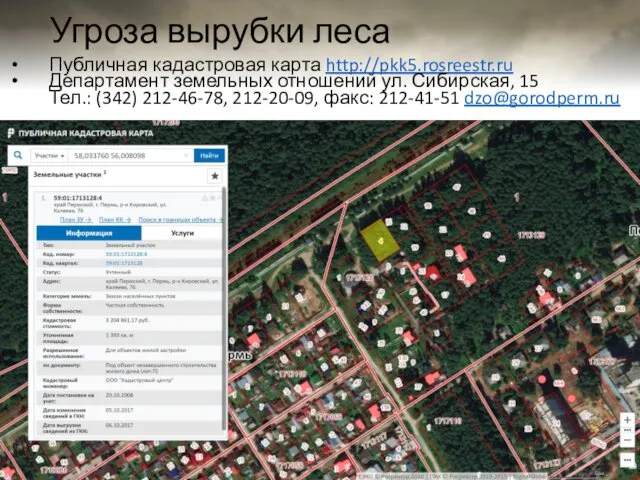 Угроза вырубки леса Публичная кадастровая карта http://pkk5.rosreestr.ru Департамент земельных отношений