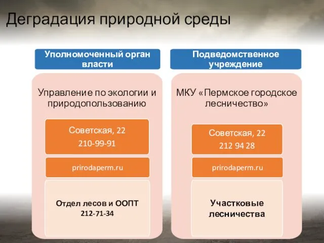 Деградация природной среды Отдел лесов и ООПТ 212-71-34 МКУ «Пермское