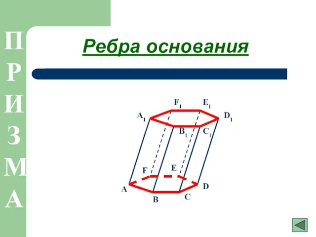 Ребра основания