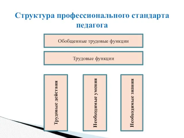 Структура профессионального стандарта педагога Обобщенные трудовые функции Трудовые функции Трудовые действия Необходимые умения Необходимые знания