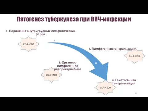 Патогенез туберкулеза при ВИЧ-инфекции CD4 CD4 CD4 CD4