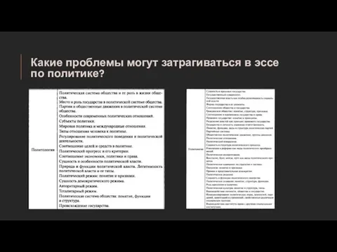 Какие проблемы могут затрагиваться в эссе по политике?