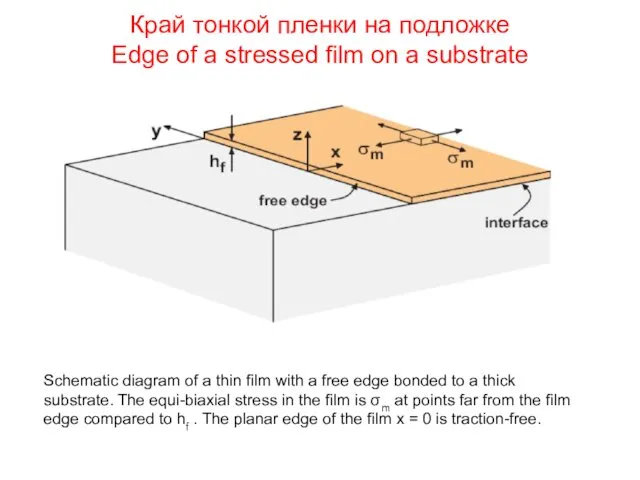 Край тонкой пленки на подложке Edge of a stressed film on a substrate
