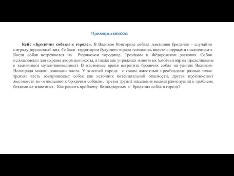 Примеры кейсов Кейс «Бродячие собаки в городе». В Великом Новгороде