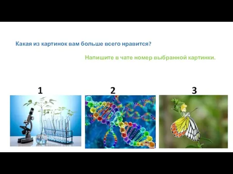 Какая из картинок вам больше всего нравится? Напишите в чате номер выбранной картинки. 1 2 3