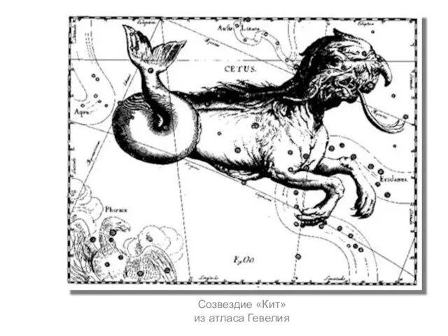 Созвездие «Кит» из атласа Гевелия
